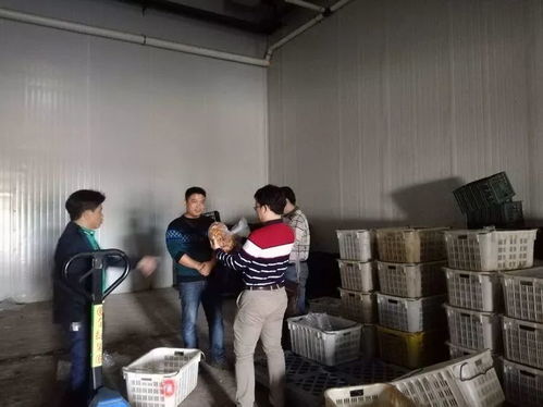 ?？谑乘幈O局靠前服務 以專業指導賦能合作社農產品深加工廠建設